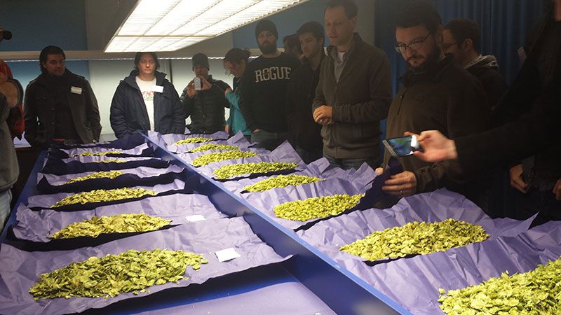 Hop-Testing-1.jpg